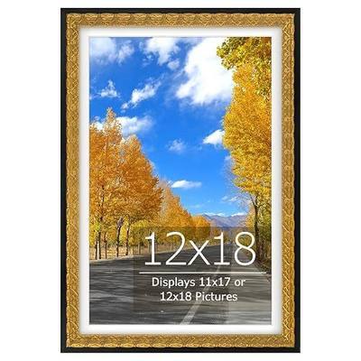 Golden State Art, 12x18 Ornate Picture Frame Vintage Gold Frame, Real Glass Front, With Mat for 11x17 Photo, Decorative Frame for Wall Hanging