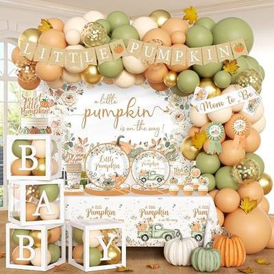 255pcs Little Pumpkin Baby Shower Decorations for Girl Rustic Fall Autumn A Little Pumpkin is On the Way Baby Shower Party Supplies Plates Boxes Balloon Arch for Fall Thanksgiving Autumn Party