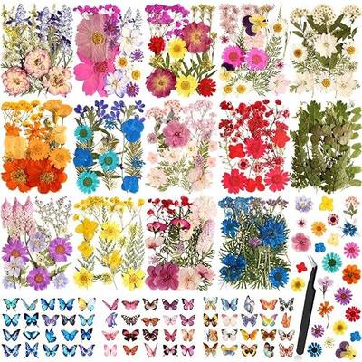 Dried Flowers for Crafts, 331 PCS Dried Pressed Flower Butterfly Stickers with Tweezers Real Natural Pressed Dried Florals Leaves for Resin, Jewelry, Card Making, Soap,Candles, Nail Art, Scrapbooking