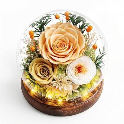 Getsrichfc Gifts for Mom Flowers for Delivery Birthday Gifts for Women Grandma Forever Preserved Eternal Rose in Glass Dome Mother Days Valentines Anniversary for Girlfriend Wife Her, Beige