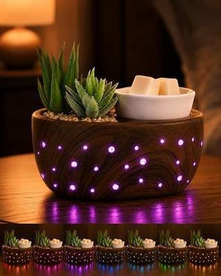 Ceramic Succulent Electric Wax Melt Warmer, 7-Color Flameless LED Light | 4-in-1 for wax melts & oils. Flameless PTC safe for pets. Easy-clean dish & energy-saving. Perfect for bedroom/office decor