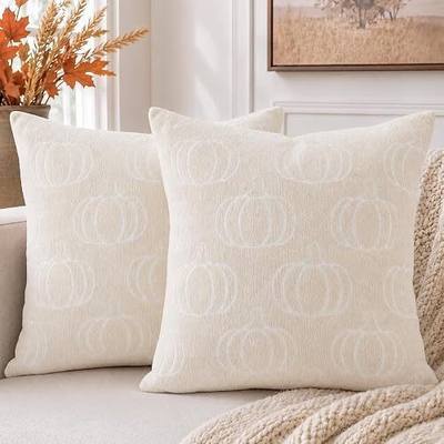 Soft Beige Chenille Fall Pillow Covers 18x18 Set of 2, Double-Sided Pumpkin & Plaid, Thick & Cozy Farmhouse Autumn Decorative Cushion Covers for Couch Sofa Bed(Beige,18x18)