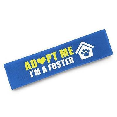 Adopt Me I'm A Foster Dog Leash Sleeve Wrap with Hanging ID Patch, Funny Blue Adopt Me Leash Accessory, Birthday Gift for Dog Owners