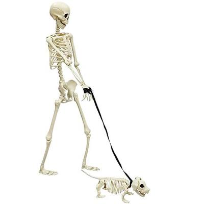 Halloween Skeleton 5.4FT Life Size Human Adult Skeletons with Skeleton Dog Halloween Decorations for Indoor Outdoor Garden Lawn,Haunted House Props, Spooky Scene Party Decor