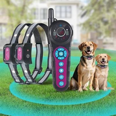 DOTSTAR Dog Wireless Fence Training Pet Collar 2-in-1 System | 5000ft Adjustable Control Range, Waterproof Rechargeable Dog Training Collar, Pet Containment System for Medium Large Dogs