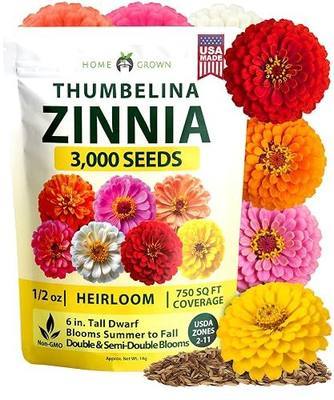 HOME GROWN Zinnia Seeds for Planting Thumbelina 3,000 Seeds (14g - 1/2oz) – Dwarf Zinnia Flower Seeds, Mixed Colors, Easy Flowers to Plant Outside, USDA Zones 3–10 (Zinnia Elegans)