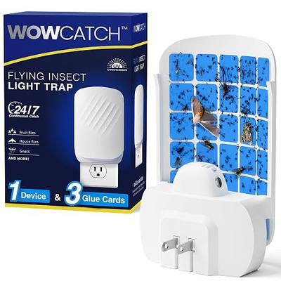 Flying Insect Trap for Indoors, Plug-in Bug Catcher for Gnats, Fruit Flies | 1 Device & 3 Refill Cartridges, Chemical-free Blue UV Light Bug Control, Gnat Traps for Indoor, Safe for Children & Pets