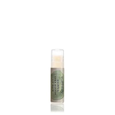 evanhealy Whipped Shea Butter for Lips | Organic Red Raspberry Seed Oil, Beeswax, & Argan Oil | Moisturizing Lip Balm Chapstick (0.15 oz)