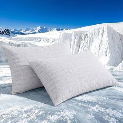 Swift Home Standard Cooling Pillow Shams Set, 20"x26" Set of 2, Gray | Cool-to-Touch Nylon Blend, Reversible Design, For Hot Sleepers, Breathable, Soft, Stylish Home Decor, Machine washable