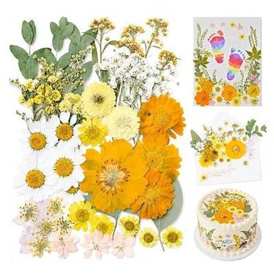 Dried Pressed Flowers for Resin, 50 Pcs Real Dried Flowers for Crafts | Natural Pressed Dried Flowers for Crafts Art, Scrapbooking, Soap Candle Making, DIY Decoration & Handmade Projects