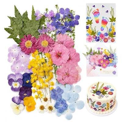 Real Dried Pressed Flowers for Crafts, 50 Pcs Dried Flowers for Resin | Natural Pressed Dried Flowers for Crafting Resin Art, Scrapbooking, Bookmark, Candles, Soap, Card Making, DIY Decorations