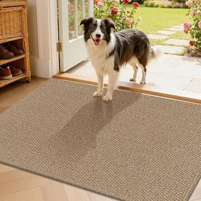HEBE Cotton Woven Small Area Rug 2'x3', Washable Braided Indoor Door Mat | Non Slip Rubber Backed Entryway Rug, Neutral Low Profile Doormat Entrance Carpet for Front Porch, Bathroom, Kitchen