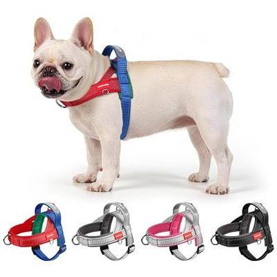 HCY&WLD No Pull Dog Harness with 3 Clips and Soft Padded Handle (Red, S) | Breathable Mesh Padded, Reflective Strip, Safe at Night, Escape Proof, Quick Adjustment, Easy for Training Walking, Stylish
