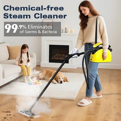 Waitbird Steam Cleaner for Home, Handheld Steamer for Home Cleaning | 21-Piece Cleaning Kit | 4.5 Bar High Pressure | 248°F High-Temp Steam | 38oz Large Tank I Dual Safety Lock I Chemical-Free