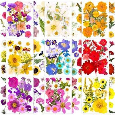 176Pcs Pressed Dried Flowers Dry Leaves for Resin Molds DIY Crafts