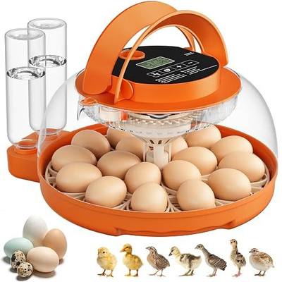Incubators for Hatching Eggs, 18 Egg Automatic Egg Turning and Humidity Control Incubator with Handle for Chicken Duck Lab Home Class