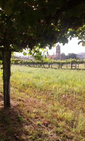 Iria Otero · Sal Albariño