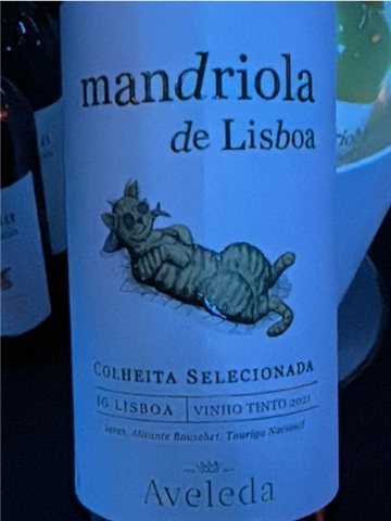 Mandriola de Lisboa · Colheita Seleccionada Tinto