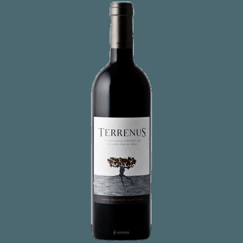 Rui Reguinga · Terrenus