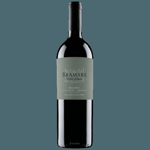Viña Cobos · Bramare Malbec Uco Valley
