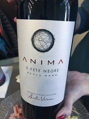 Aurelia Visinescu Anima 3 Fete Negre