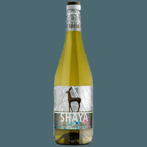 Shaya · Blanco