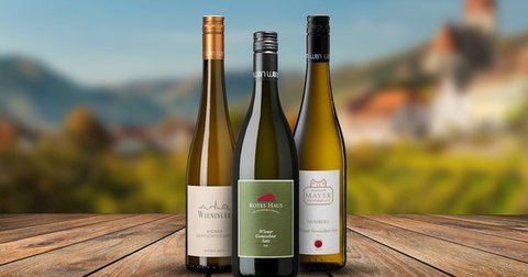 Groszer Wein · Gemischter Satz Rosé