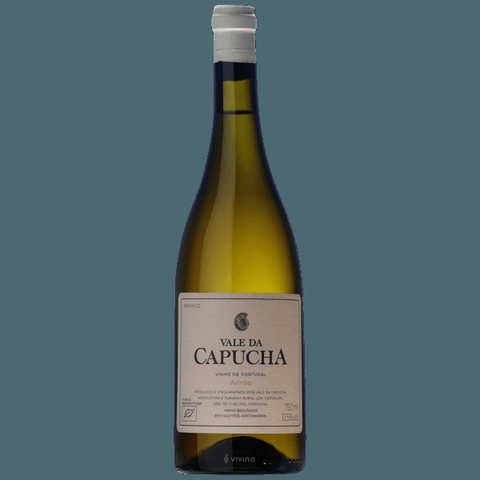 Capucha Arinto