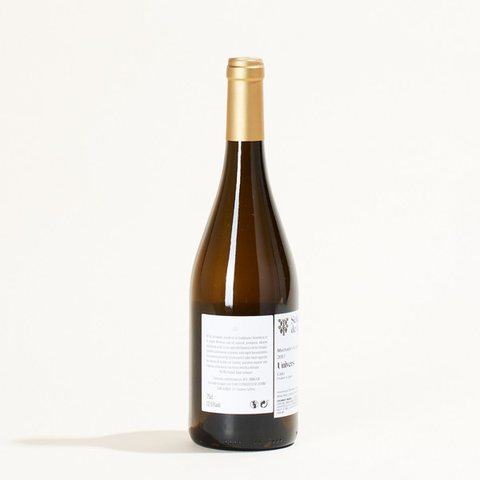 Muchada-Léclapart Univers