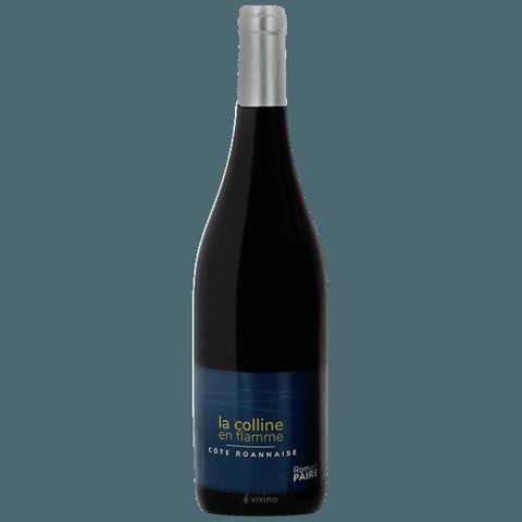 Domaine des Pothiers · Romain Paire Côte Roannaise La Colline En Flamme