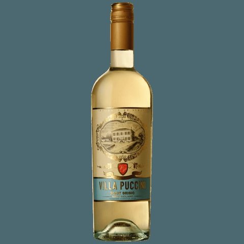 Villa Puccini Pinot Grigio