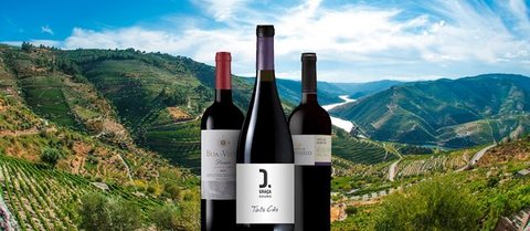 Pessegueiro Tinto Cão