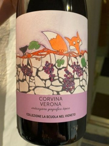 Domini Veneti · Collezione la Scuola Nel Vigneto Corvina