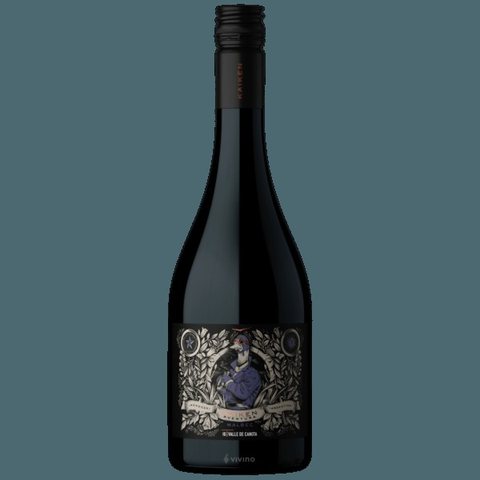 Kaiken · Aventura Malbec Valle de Canota