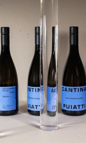 Puiatti · Sauvignon Blanc